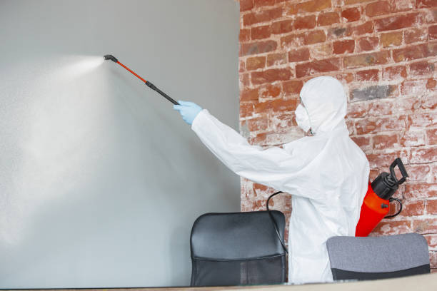 Best Mold-Related Health Consultation  in East Lake, FL