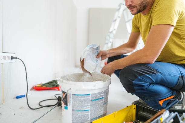 Best Black Mold Removal  in East Lake, FL